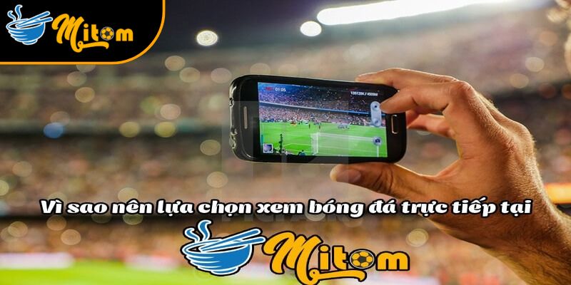 danh gia cua nguoi dung ve mitomtv