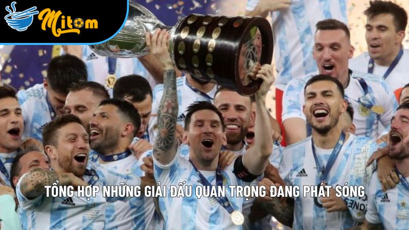 Giới thiệu mitomtv – Trang trực tiếp bóng đá chất lượng cao 2025 3 gioi thieu cac giai dau tai mitomtv